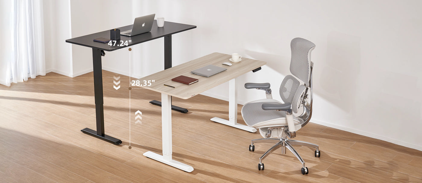 Sihoo D03 Electric Height Adjustable Standing Desk