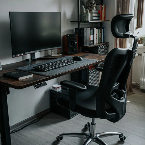 Sihoo M18 Chair