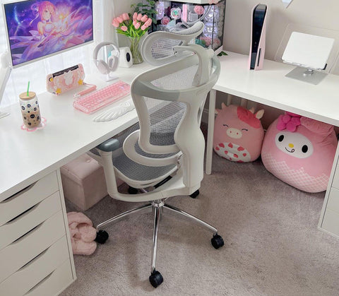 SIHOO Doro C300 ergonomic chair