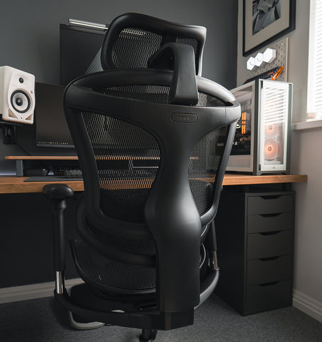 Sihoo Doro C300 Chair