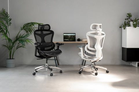 Sihoo Doro C300 ergonomic chair