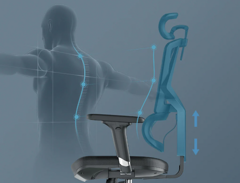 Dynamic Adjustable Backrest
