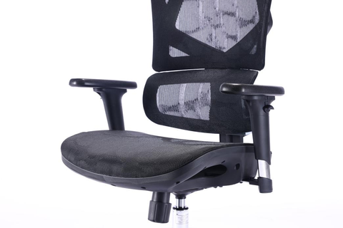 M90  Series Separated Lumbar Back