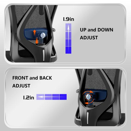 M57 lumbar back design