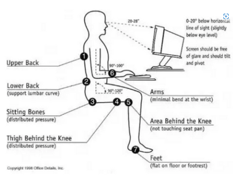 we often feel back pain